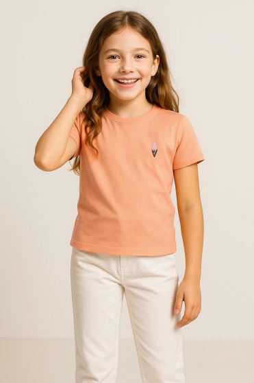 تیشرت آستین کوتاه گلدوزی