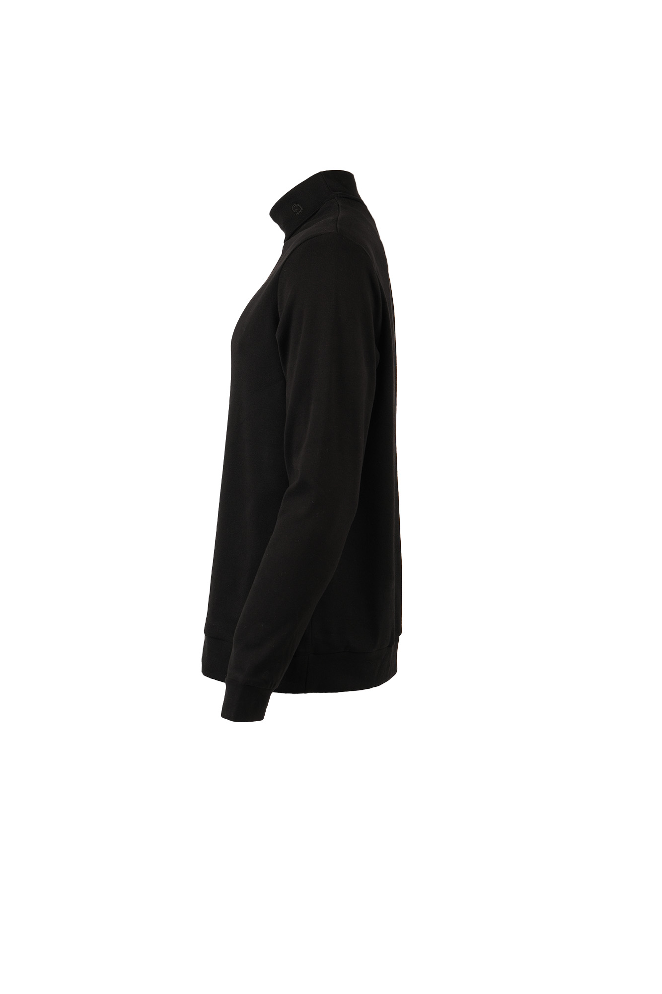 تیشرت آستین بلند یقه اسکی ساده