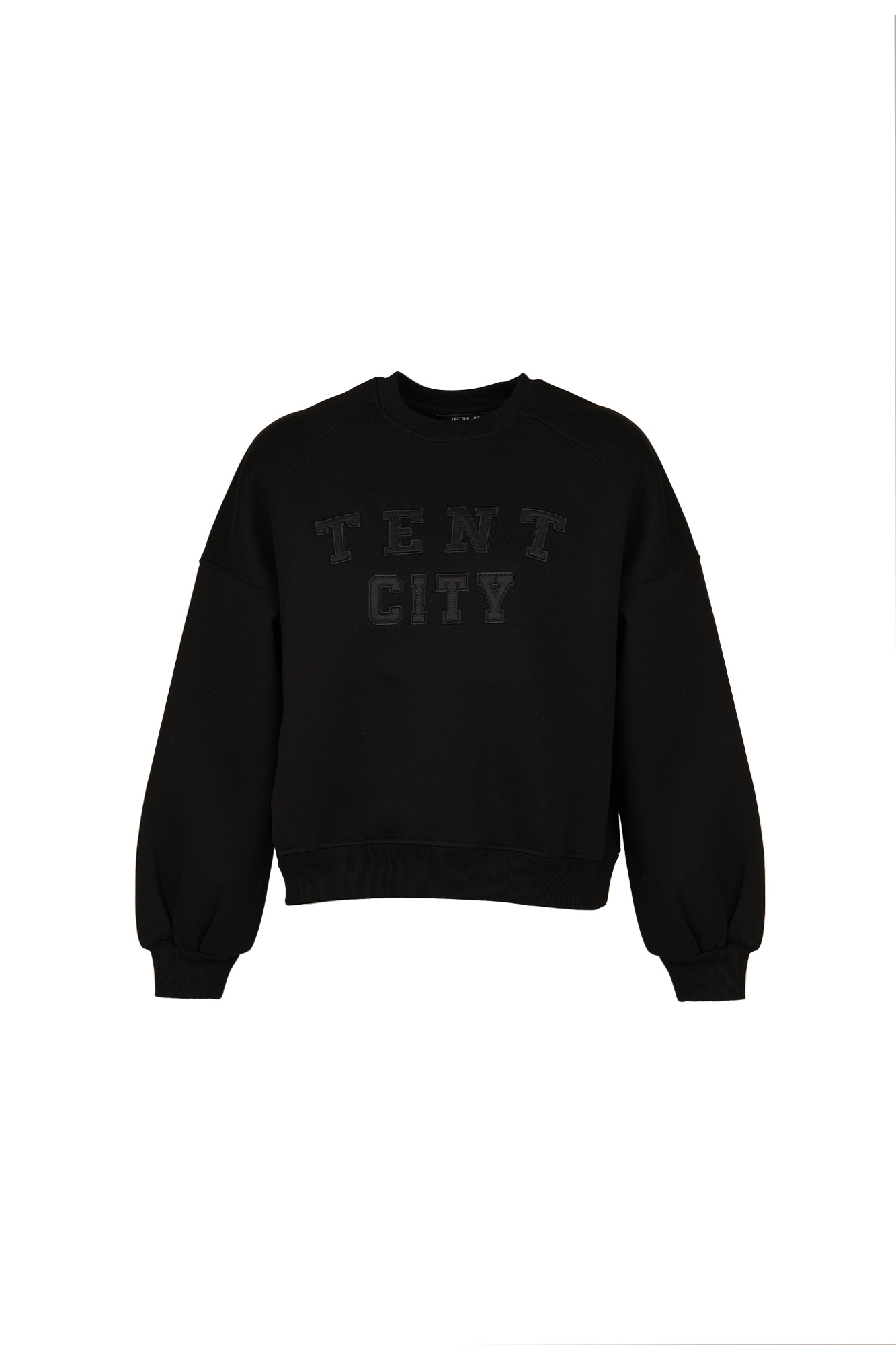 سوئیشرت یقه گرد گلدوزی