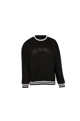 سوئیشرت یقه گرد گلدوزی