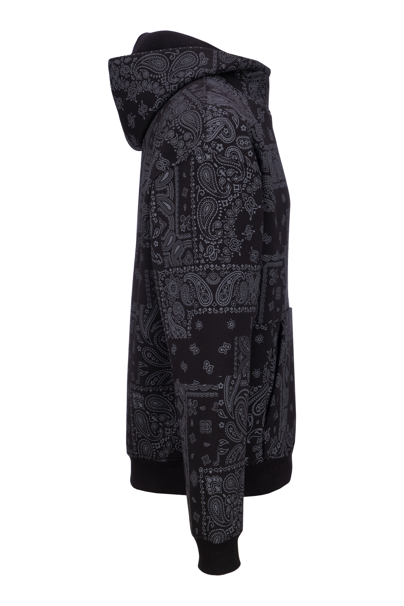 هودی طرحدار