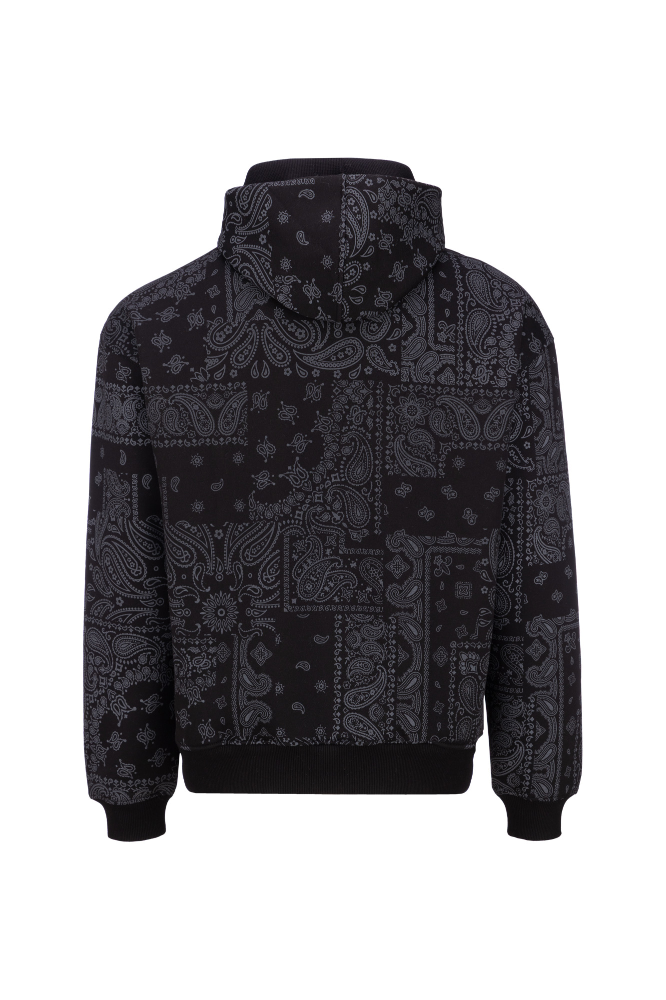 هودی طرحدار