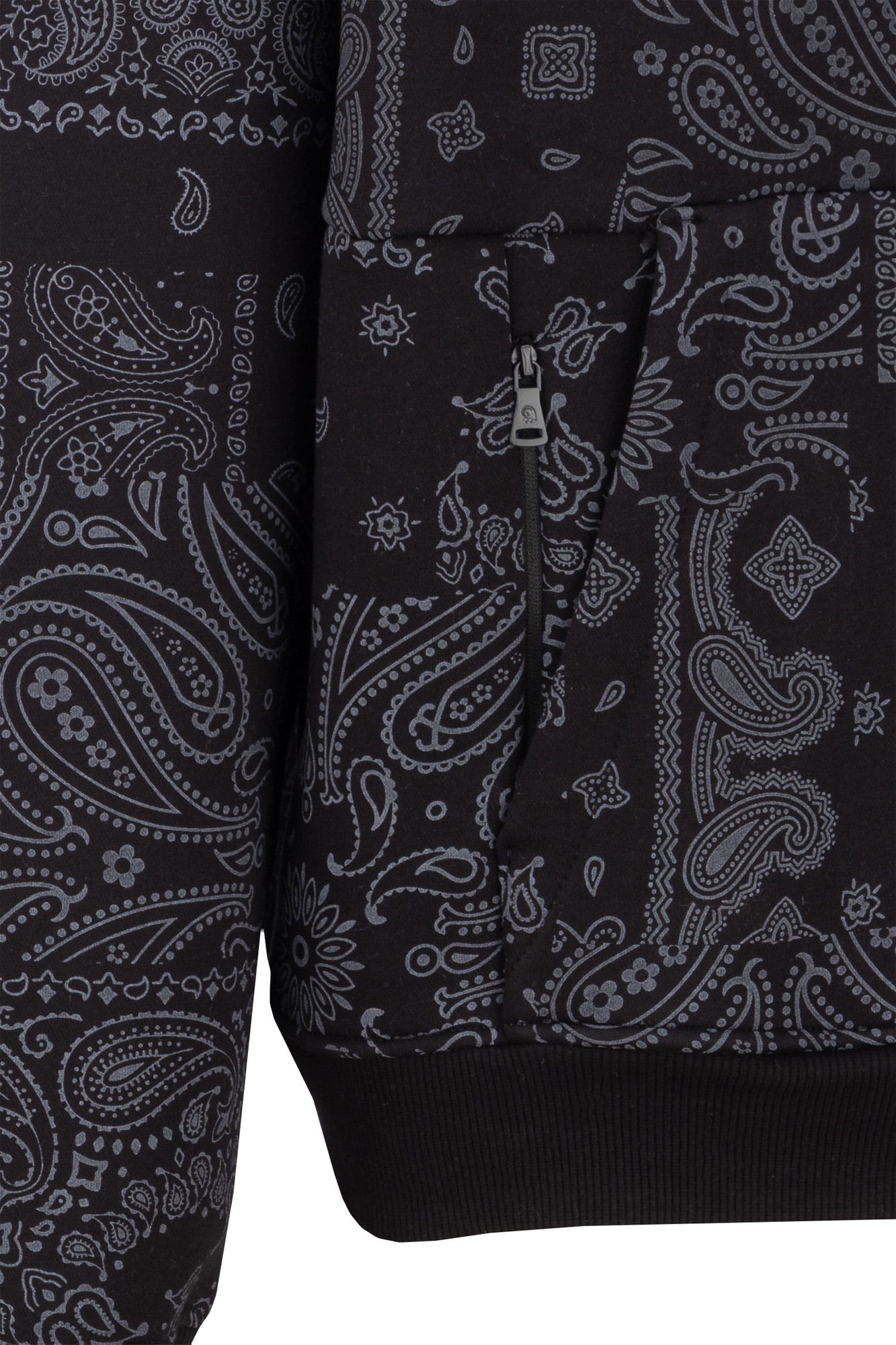 هودی طرحدار