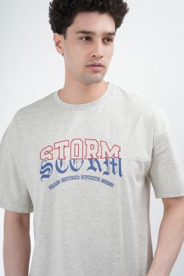 تیشرت آستین کوتاه چاپ و گلدوزی