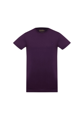 تیشرت آستین کوتاه یقه گرد بیسیک