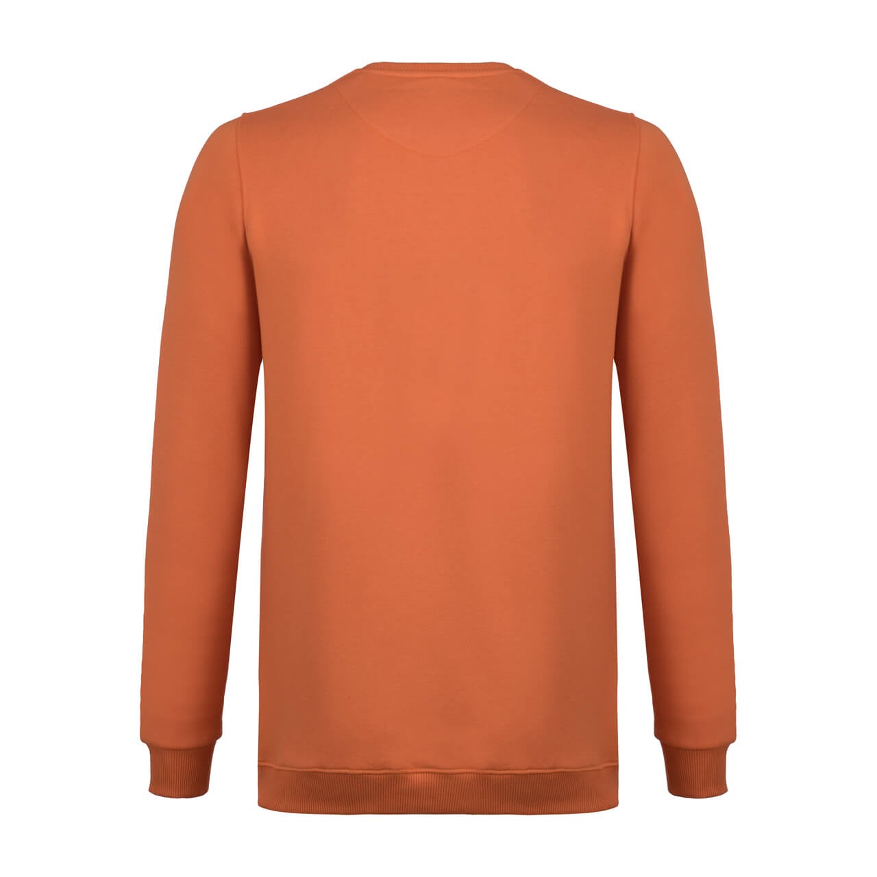 تی شرت آستین بلند یقه گرد چاپی