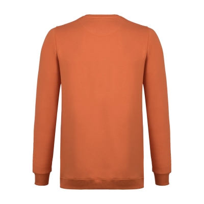 تی شرت آستین بلند یقه گرد چاپی