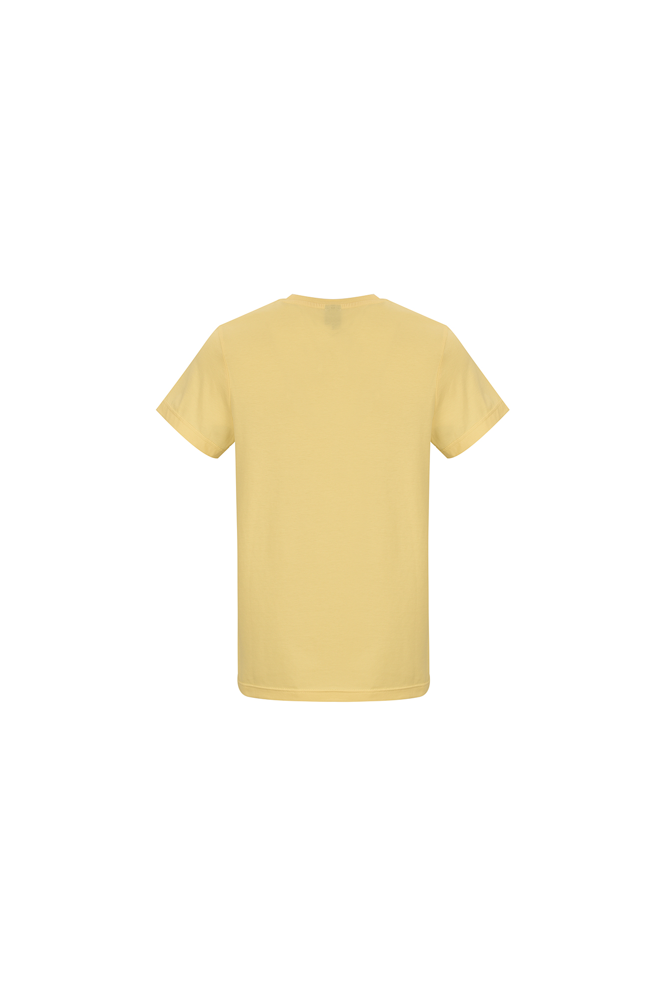 تیشرت آستین کوتاه یقه گرد بیسیک