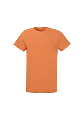 تیشرت آستین کوتاه یقه گرد بیسیک