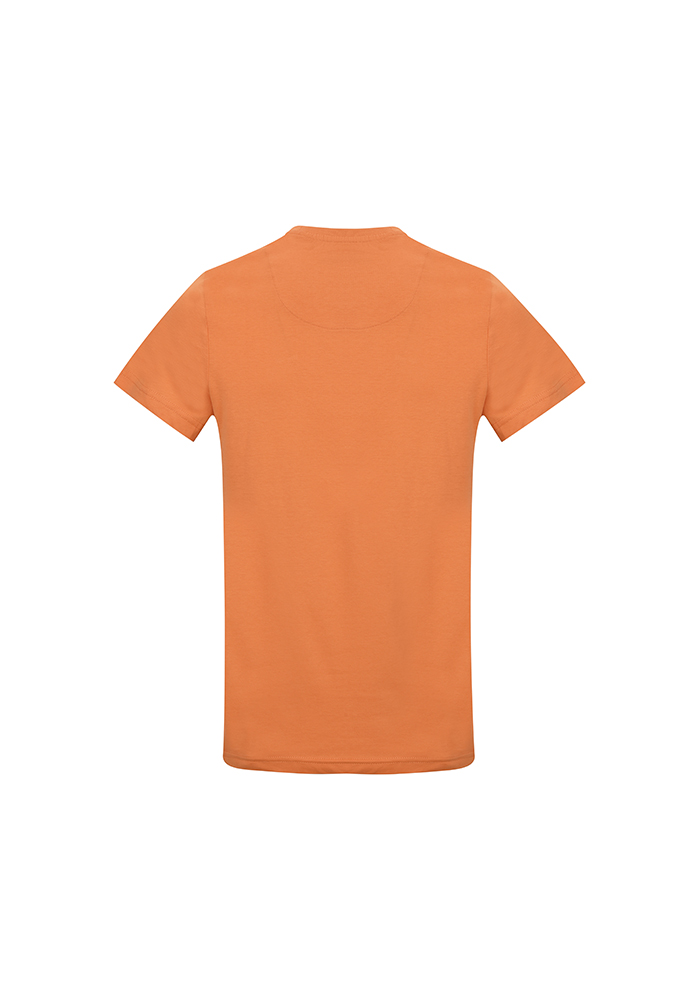 تیشرت آستین کوتاه یقه گرد بیسیک